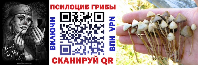 Псилоцибиновые грибы прущие грибы  где можно купить наркотик  даркнет состав  Пудож  omg рабочий сайт 